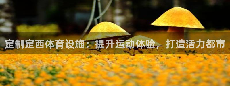 意昂3开户：定制定西体育设施：提升运动体验，打造活力