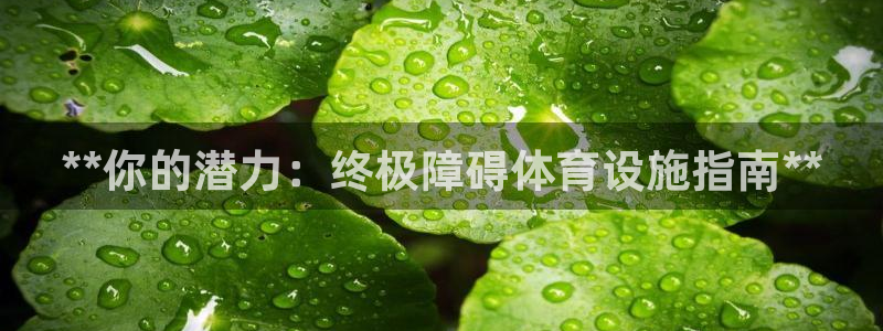 意昂3集团官网网址
