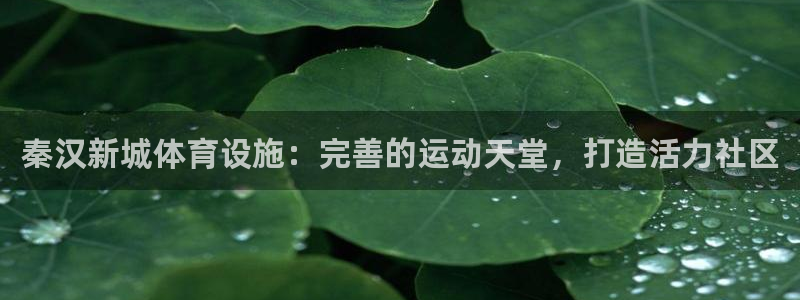 德国意昂3集团：秦汉新城体育设施：完善的运动天堂，打