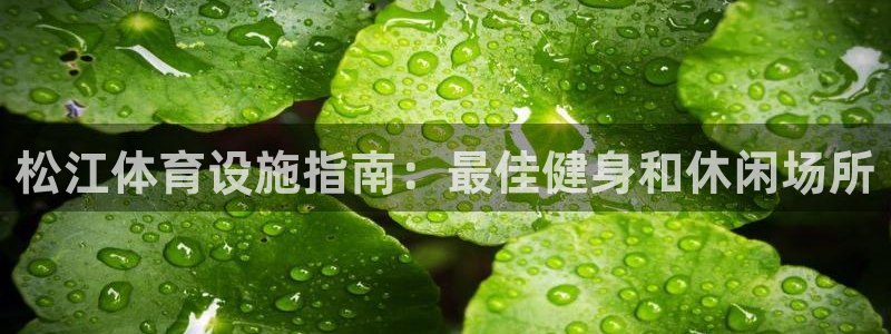 意昂体育3招商电话号码是多少啊：松江体育设施指南：最佳健身和