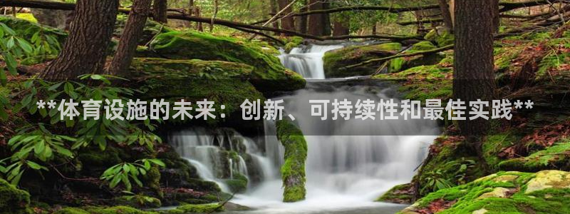 意昂3集团简介：**体育设施的未来：创新、可持续性和