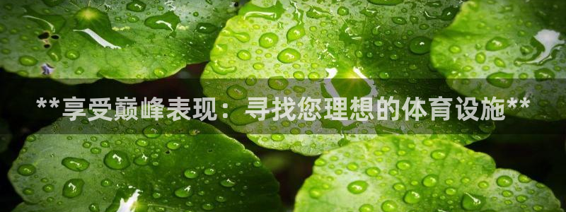 意昂3代理：**享受巅峰表现：寻找您理想的体育设施*