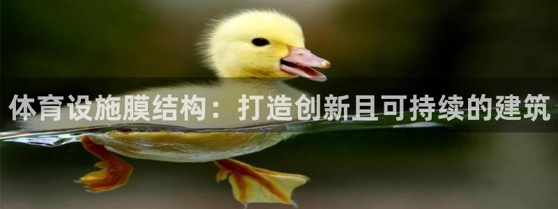 意昂3神州：体育设施膜结构：打造创新且可持续的建筑