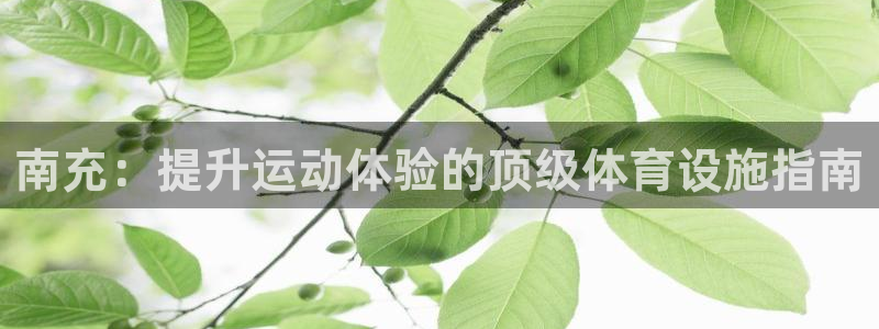 意昂体育3：南充：提升运动体验的顶级体育设施指南