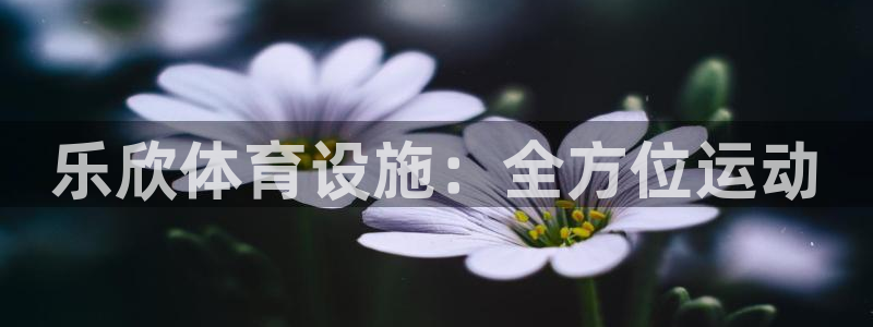意昂3娱乐：乐欣体育设施：全方位运动