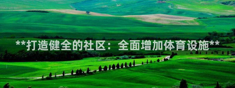 意昂3科技：**打造健全的社区：全面增加体育设施**