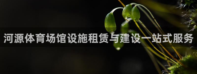 意昂体育3软件：河源体育场馆设施租赁与建设一站式服务