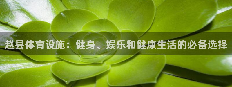 意昂3娱乐：赵县体育设施：健身、娱乐和健康生活的必备