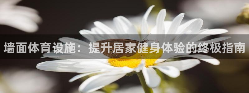 意昂体育3招商电话地址查询：墙面体育设施：提升居家健