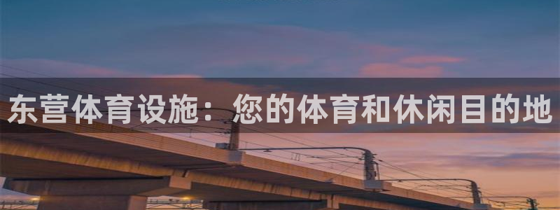 意昂3五金厂：东营体育设施：您的体育和休闲目的地