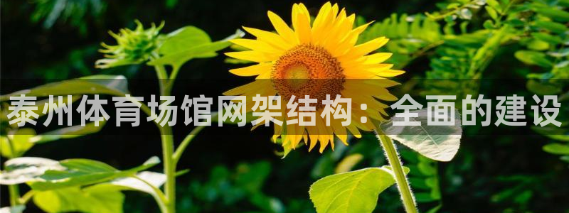 意昂体育3开户：泰州体育场馆网架结构：全面的建设
