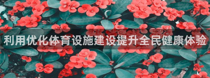 德国意昂3集团：利用优化体育设施建设提升全民健康体验