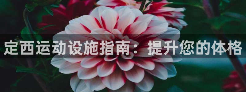 意昂体育3招商电话是多少啊：定西运动设施指南：提升您