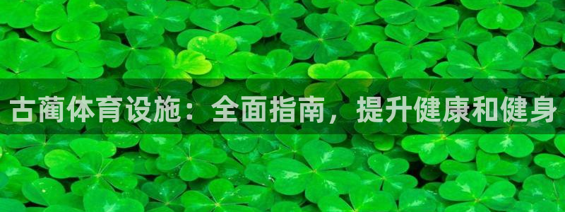 意昂3科技