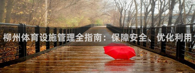 意昂体育3是干嘛的公司：柳州体育设施管理全指南：保障