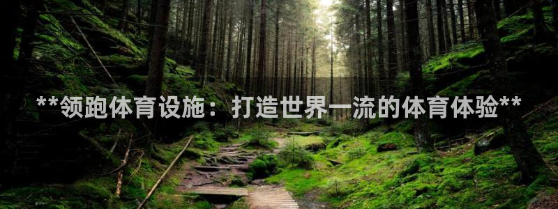 意昂3娱乐首页官网下载：**领跑体育设施：打造世界一
