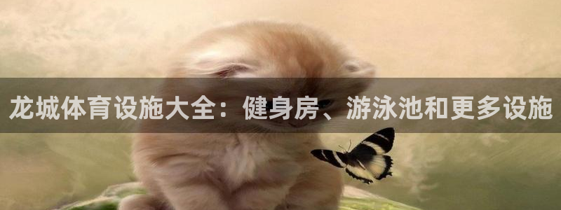 意昂3集团官网首页：龙城体育设施大全：健身房、游泳池和更多设