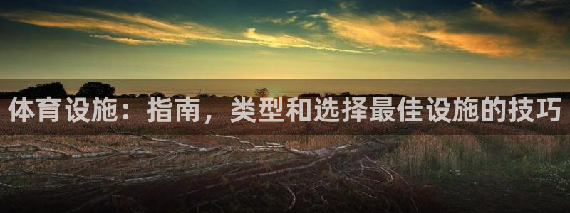 意昂体育3联系电话：体育设施：指南，类型和选择最佳设施的技巧