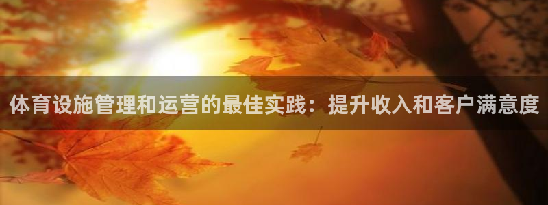 海南意昂体育3发展怎么样：体育设施管理和运营的最佳实践：提升 