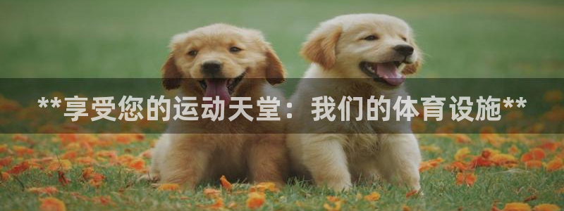 意昂3集团官网首页：**享受您的运动天堂：我们的体育设施**