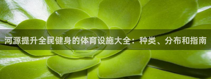 意昂3娱乐平台：河源提升全民健身的体育设施大全：种类