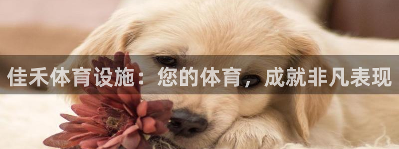 意昂体育3平台注册要钱吗：佳禾体育设施：您的体育，成