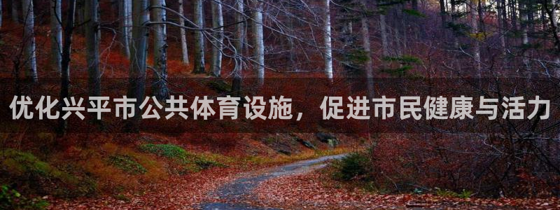 意昂体育3平台注册流程视频：优化兴平市公共体育设施，
