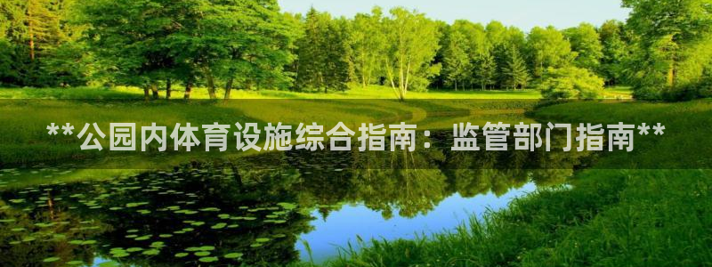 注册意昂3：**公园内体育设施综合指南：监管部门指南