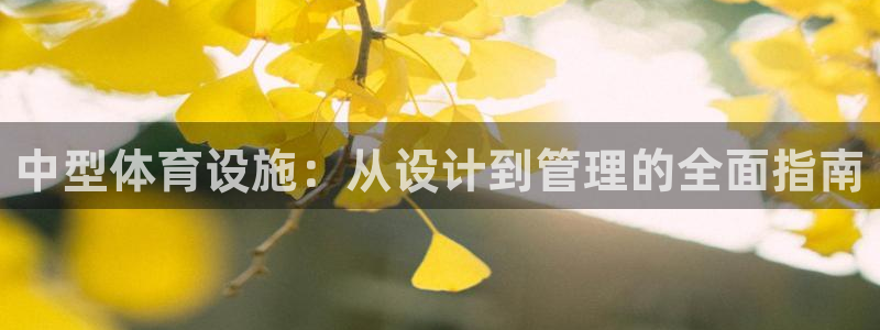意昂3科技：中型体育设施：从设计到管理的全面指南