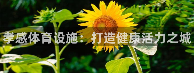 意昂体育3平台注册流程视频：孝感体育设施：打造健康活