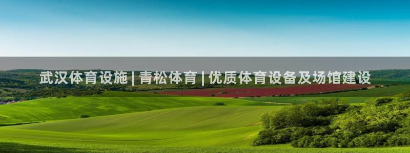 意昂体育3注册：武汉体育设施 | 青松体育 | 优质