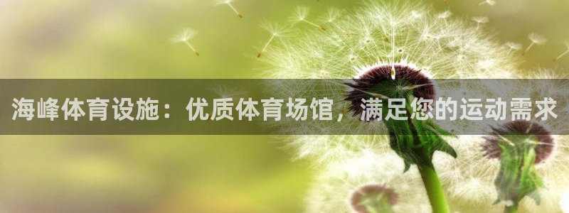 意昂体育3平台APP：海峰体育设施：优质体育场馆，满