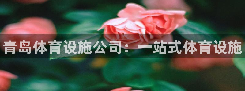 意昂体育3是干嘛的公司：青岛体育设施公司：一站式体育