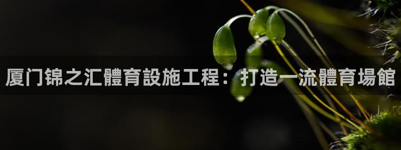 意昂体育3平台假的吗是真的吗