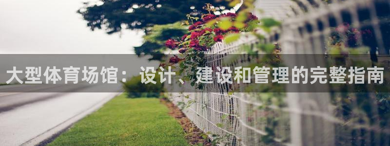 意昂体育3软件：大型体育场馆：设计、建设和管理的完整