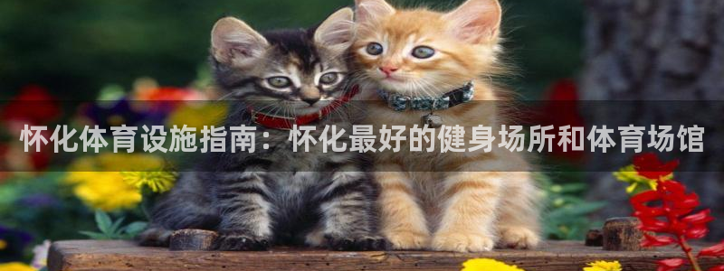 意昂体育3平台注册要钱吗安全吗：怀化体育设施指南：怀