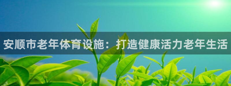 意昂3五金厂：安顺市老年体育设施：打造健康活力老年生