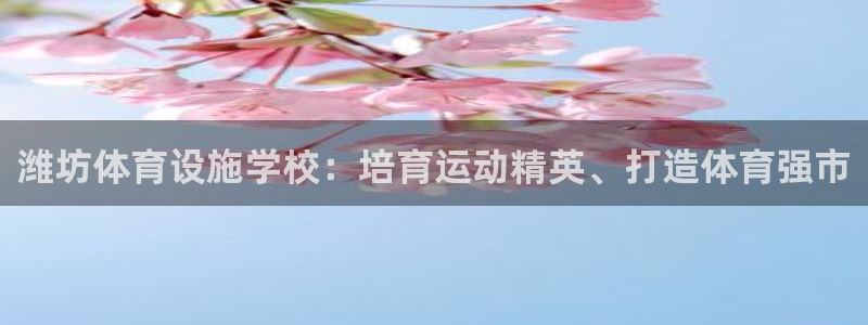 意昂体育3平台注册要钱吗安全吗：潍坊体育设施学校：培
