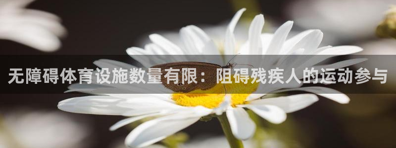 意昂3神州：无障碍体育设施数量有限：阻碍残疾人的运动