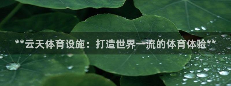 意昂3官网：**云天体育设施：打造世界一流的体育体验