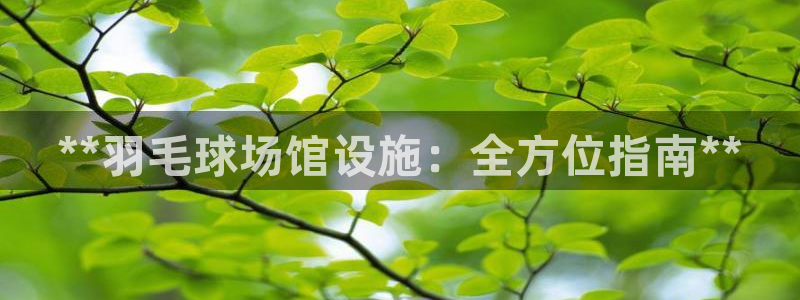 意昂体育3平台注册流程视频：**羽毛球场馆设施：全方