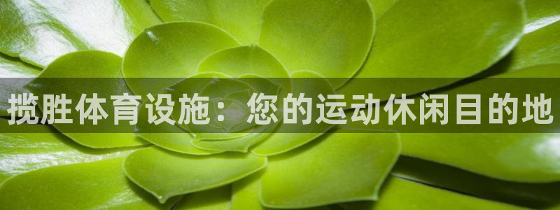 意昂3科技：揽胜体育设施：您的运动休闲目的地