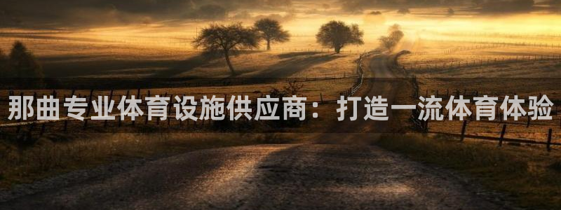 意昂3娱乐首页网站大全：那曲专业体育设施供应商：打造