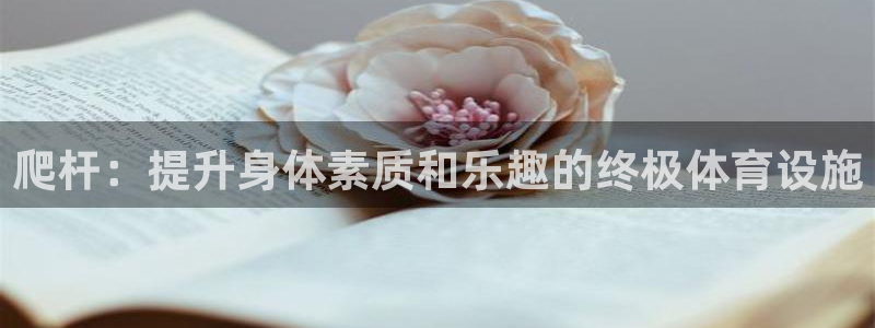 意昂体育3平台注册流程图：爬杆：提升身体素质和乐趣的