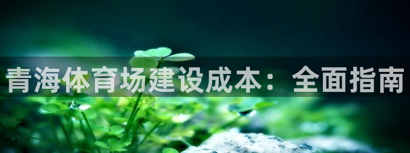 意昂3新能源：青海体育场建设成本：全面指南 