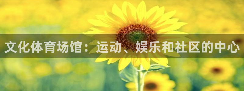 意昂体育3开户：文化体育场馆：运动、娱乐和社区的中心