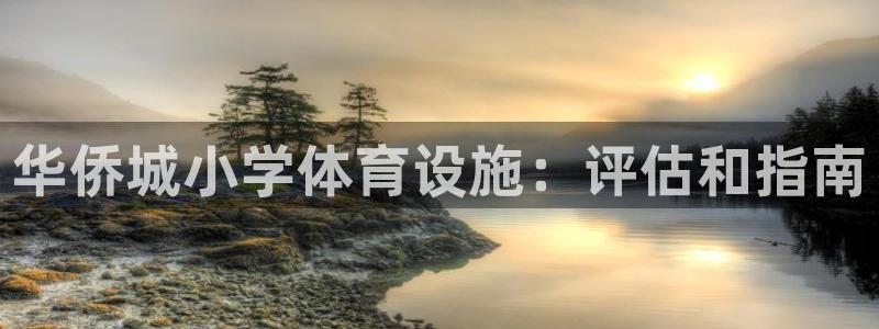 意昂体育3：华侨城小学体育设施：评估和指南