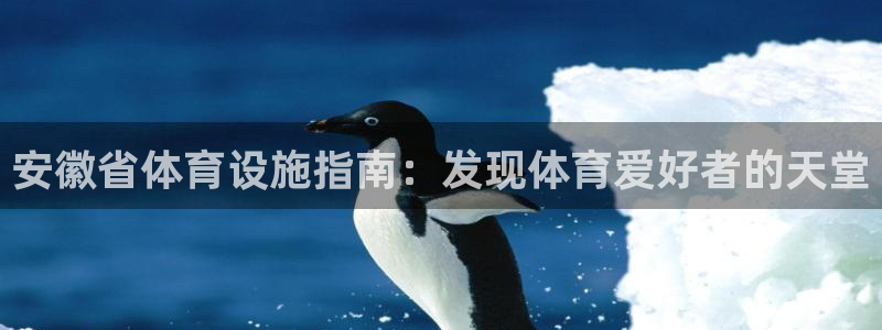 意昂平台体育：安徽省体育设施指南：发现体育爱好者的天