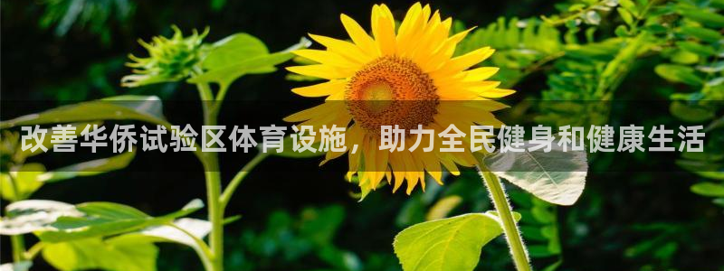意昂体育3招商电话是多少号码：改善华侨试验区体育设施