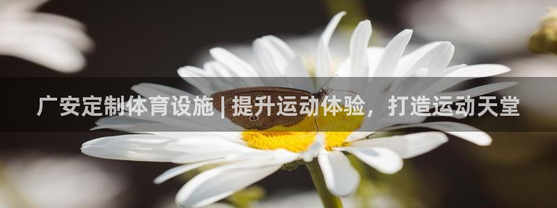 意昂体育3平台假的吗是真的吗吗：广安定制体育设施 | 提升运